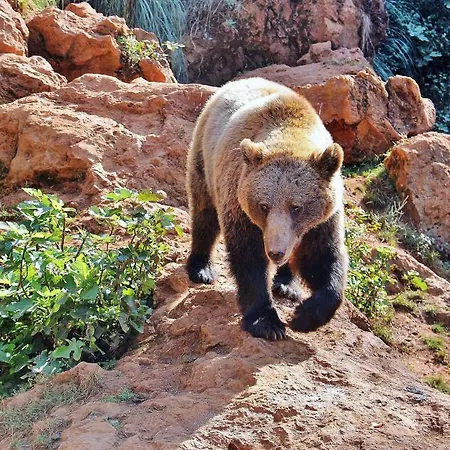 Gæstehus La Concha 3*