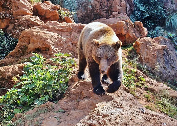 Gasthof La Concha 3*